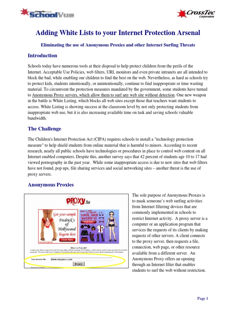 Combat Anonymous Proxies in Schools | PDF | Proxy Server | World Wide Web