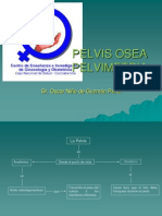 1 Clases Pelvimetria Completa