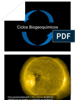 Ciclos Biogeoquimicos Vete Especial - 1