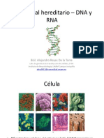 2.3 DNA – Transcripción y Traducción