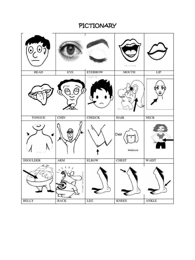 Pictionary About Parts of Body | PDF | Foreign Language Studies