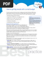 Download How to get big results with a small budget by salesforcecom SN23807883 doc pdf