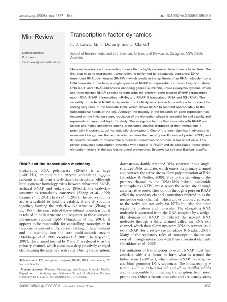 Transcription Factor Dynamics in Prokaryotes | PDF | Ribosomal Rna | Operon
