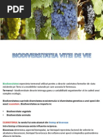 Biodiversitatea Vitei de Vie. Nicoleta Capatana