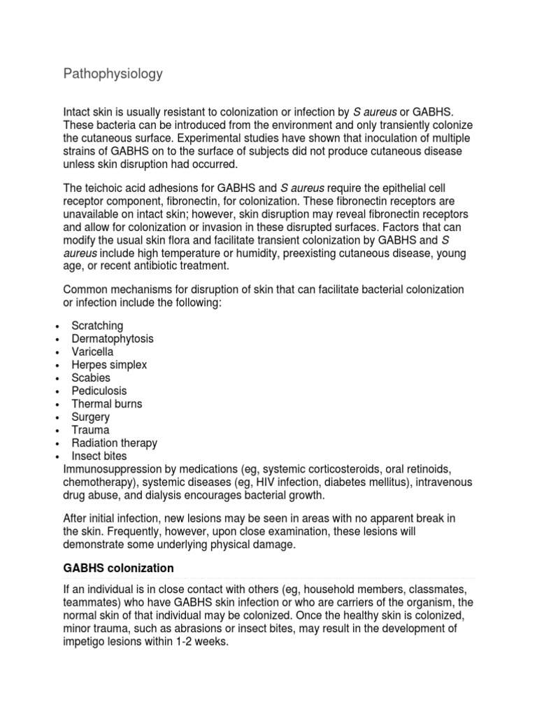 Impetigo essay 07 image