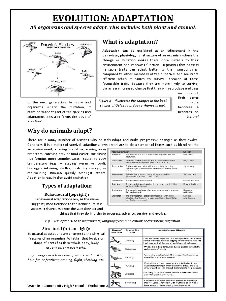 evolution worksheet - adaptation | Adaptation | Natural Selection