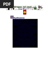 la ayahuasca planta magica