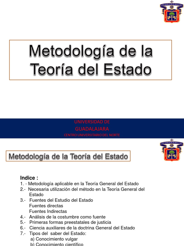 Metodologia de la teoria del estado