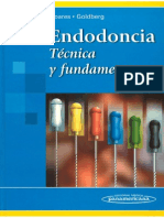 Endodoncia Tecnica y Fundamentos