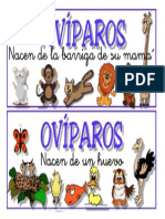 Animales Viviparos