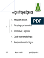 Hongos Fitopatogenos2010 I