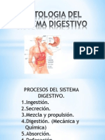 Histologia Del Sistema Digestivo de Estudio