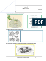 Repaso Fotosintesis