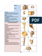 3. Conceptos de Superficies Articulares y de Insercion (1)