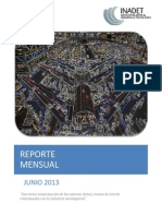 Reporte Cenaltec Junio 13'