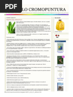 Download Nonsolocromopuntura Agosto 2014 by Ivano Antar Vagnotti SN238152463 doc pdf