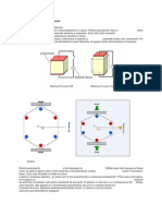 Materiale Piezoelectrice