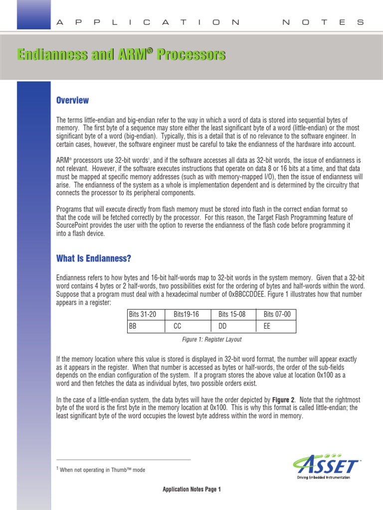 Endianness and ARM Processors PDF Flash Memory Electronics