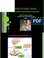 Neurofisiologia-Espasticidad