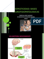 Neurofisiologia Espasticidad