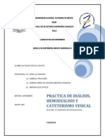 48457293 Dialisis Peritoneal Docx Practica 2