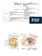 TRAUMA OCULI Perforans - Non Perforans