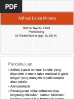 Download Adhesi Labia Minora by Puga Sharaz Wangi SN238207472 doc pdf