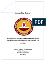 Development of tet System