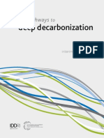 DEcarbonization DDPP Interim 2014 Report