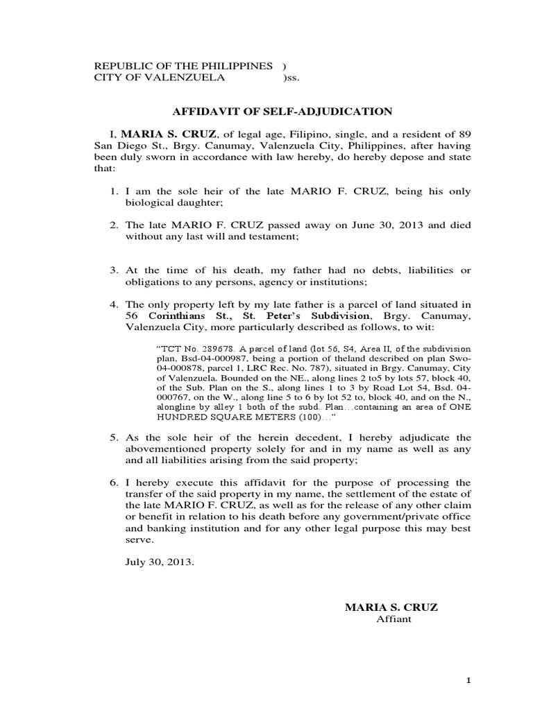 Self Adjudication Affidavit Land Lot