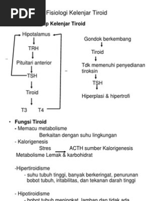 Fisiologi Kelenjar Tiroid Pdf