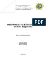 Relatório - Perda de Carga em Serpentina