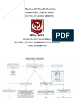 MAPAS BIOQUIMICA