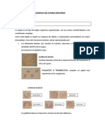 Características Físico-químicas Del Plasma Sanguíneo