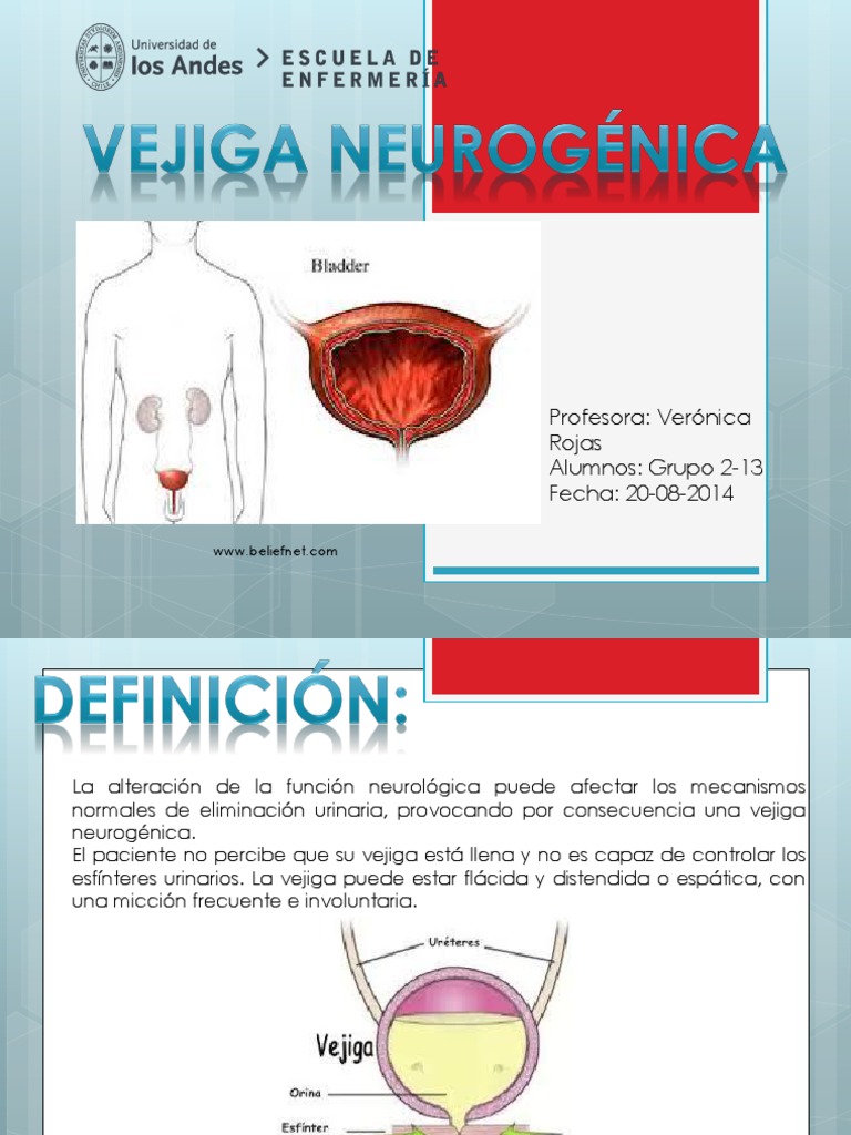 Vejiga Neurogenica Vejiga urinaria Micción