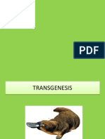 transgenesis ppt