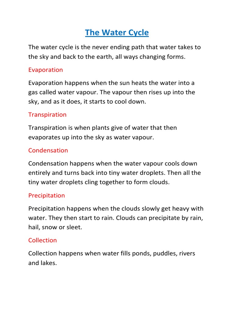 The Water Cycle | PDF