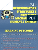 7.2 RESPIRATORY SYSTEM