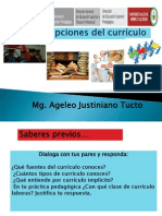 Concepciones Del Curriculum