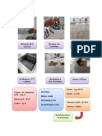 Practicas de Bioquimica II Unidad