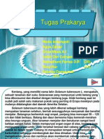 Download Tugas Prakarya by Hendra Yusthiono SN238285194 doc pdf