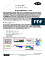 Scm Mapping Workflow Petrel 2010