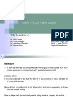 Cleft Lip and Cleft Palate