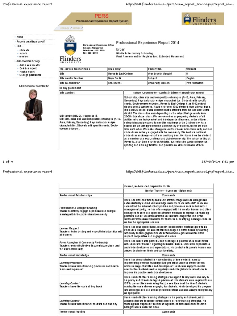 Professional Experience Report - English | PDF | Educational Assessment ...