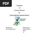 Assignment of Consumer Behavior On Factors Affecting Consumer Behavior