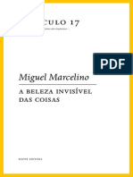 opusculo 17-A Beleza Invisível das Coisas,Marcelino,Miguel,dafne editora,Porto,2009.pdf