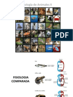 Fisiología Animal II: Homeostasis, Homeocinesis y Reostasis