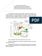 Balance de Nutrientes