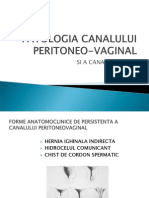 Patologia Canal Peritoneovaginal