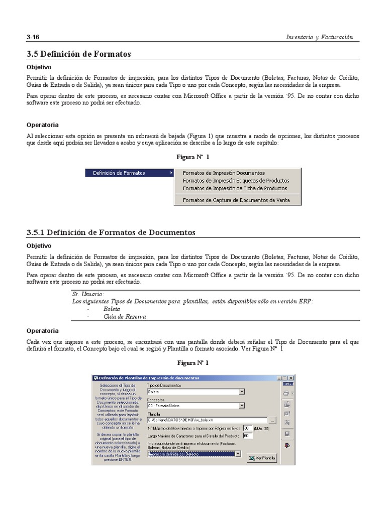 Definición de Formatos de Documentos | PDF | Microsoft Excel ...